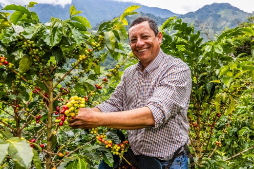 Kaffeeproduzent Jairo López bei der Ernte seines Kaffees